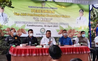 Peduli Petani Kakao, Bupati Tamba Launching 'Dokter Kakao