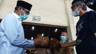 Petani dan Pedagang Tembaku Merugi , Bupati : Harga Perlu Dinaikan Lagi