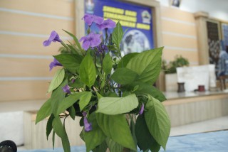 SHIBIRU Masuk Sepuluh Besar Krenova Provinsi Jateng