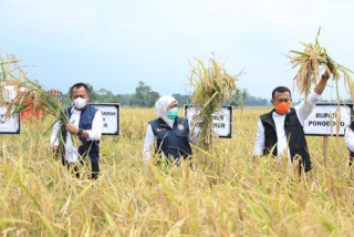 Peringati Hari Pangan Sedunia  2021, Gubernur Khofifah Ajak Perkuat Ketahanan Pangan dengan Tiga Langkah Sederhana