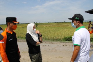 BPBD Bojonegoro dan Warga Gotong Royong Tangani Tanggul Jebol