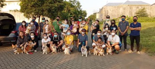 Ubah Pandangan Negatif Tentang Anjing, Komunitas Pawacitra Gelar Corgie Dance