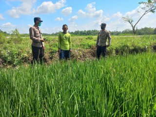 Mencegah Terjadinya Korban Jiwa karena Jebakan Tikus,Polres Ngawi Sosialisasikan Penanggulangan Hama yang Aman