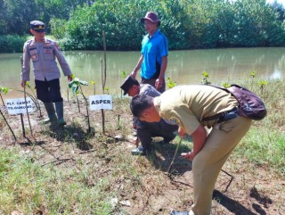 Melalui Penanaman Mangrove, Polres Tulungagung ikut Peringati Hari Mangrove Sedunia