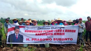 Inginkan Pupuk Murah, Petani Tebu Bersama Buruh Kabupaten Jember Sepakat Deklarasi Dukung Prabowo