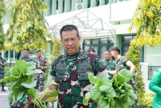 Prajurit, PNS dan Persit Kembali Panen Sayuran dari Teknologi Akuaponik