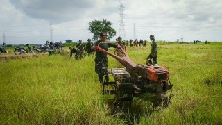 Kesiapan Lahan Swasembada Pangan Nasional Di Wedoroanom Dalam Proses Pembajakan Tanah.