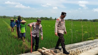Bhatarling Ngawi Ajak Petani Dukung Ketahanan Pangan Dengan Cara Aman