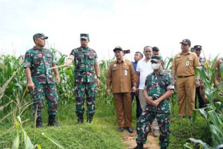 Program Ketahanan Pangan Kodim 0827/Sumenep di Tinjau Oleh Danrem 084/Bhaskara Jaya