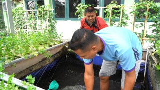 Panen Lele dan Sayuran di Markas Korem 084/Bhaskara Jaya