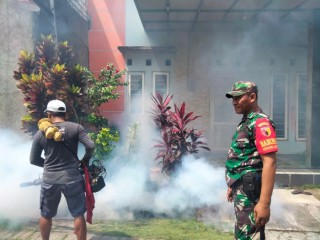 Cegah Penyebaran Penyakit DBD, Babinsa bersama Perangkat Desa Galakkan Pengasapan (Fogging) Insektisida