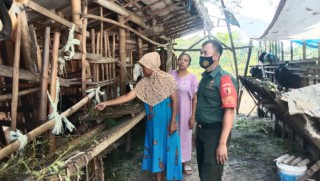Demi Kemajuan Usaha Peternakan Kambing Warga Binaan, Babinsa Aktif Beri Wawasan dan Masukan