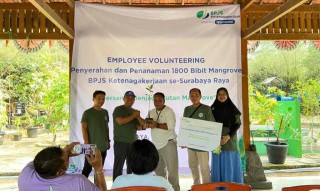 BPJS Ketenagakerjaan Juanda Tanam Ribuan Bibit Mangrove di Mangrove Wonorejo