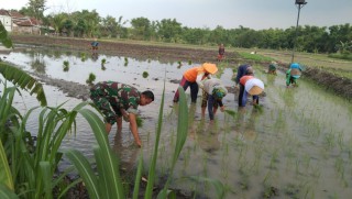 Sinergitas Babinsa Bulurejo Bersama Tim SAR BPBD Kabupaten Gresik dan Perangkat Desa, Patroli Wilayah Pasca Banjir