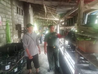 Dandim Gresik Hadir Meriahkan Festival Bandar Grissee Tahun 2023