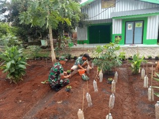 Pendampingan Babinsa Kepada Warga Binaan, Upaya Memanfaatkan Lahan Tidur