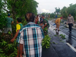 Babinsa Bantu Evakuasi Pohon dan Tiang Listrik yang Roboh Pasca Angin Puting Beliung