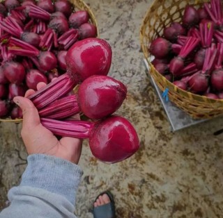 10 Manfaat Buah Bit untuk Kesehatan