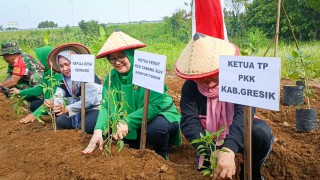 Kegiatan P2L Mendukung Program TMMD ke 119 di Desa Sembung