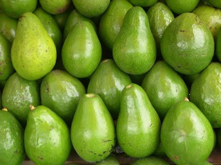 Alpukat Mentega - Rasa Lezat, Manfaat Luar Biasa Hebat