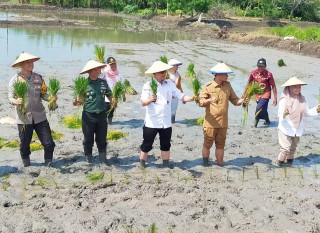 Dihadapan Dirjen PSP, Letkol Arm Wira Petakan Wilayah Rawan dan Sistem Irigasi