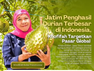 Jatim Kembali Rajai Produksi Durian Nasional, Khofifah Targetkan Utama Pasar Global
