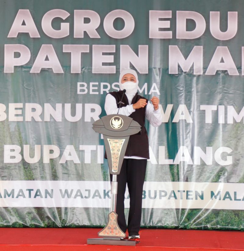 Perbaiki Ekosistem Lingkungan, Gubernur Khofifah Tanam 4000 Bibit Tanaman di Njulung Argo Edu Tourism Malang