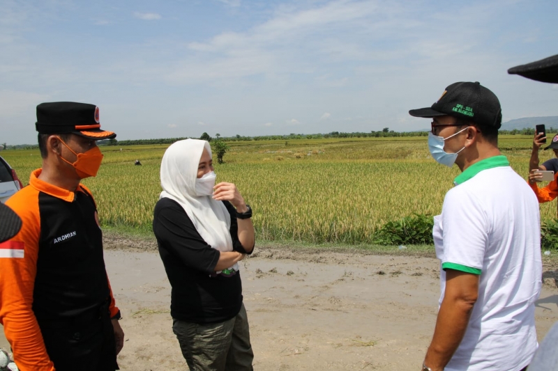 BPBD Bojonegoro dan Warga Gotong Royong Tangani Tanggul Jebol