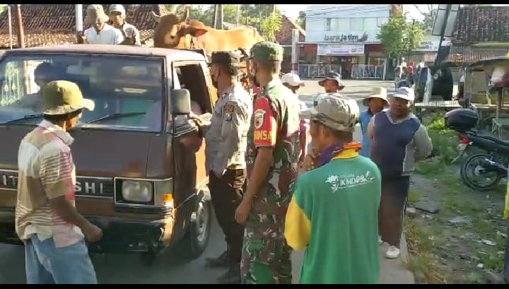 Cegah PMK Polres Pamekasan Lakukan Pemeriksaan Kendaraan Pengangkut Hewan Ternak di Perbatasan