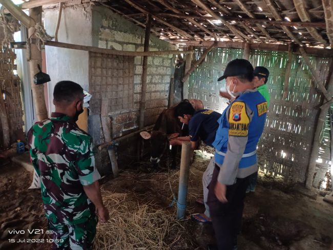 Cegah PMK, Ini yang Dilakukan Petugas Gabungan Polres Bojonegoro