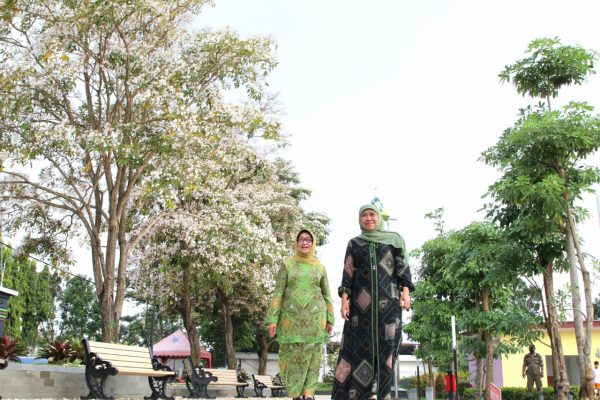 Gubernur Jatim kagumi akan Indahnya Bunga Tabebuya di Jombang