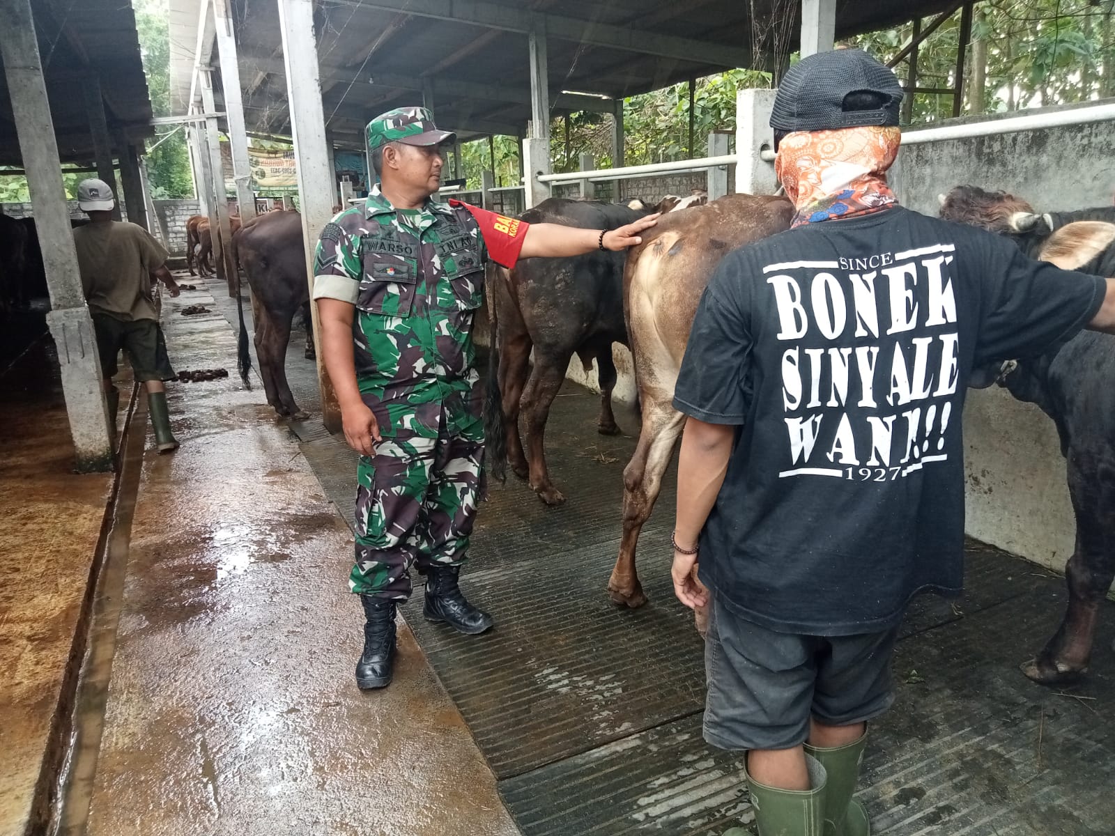 Upaya Pencegahan Ancaman Wabah PMK, Babinsa Kunjungi Kandang Peternakan Sapi Warga Binaan