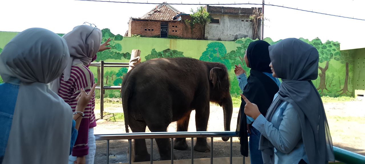 Proses Mahasiswa Unesa sedang mengamati Satwa di Kebun Binatang Surabaya. (Foto: Ful/Istimewa)