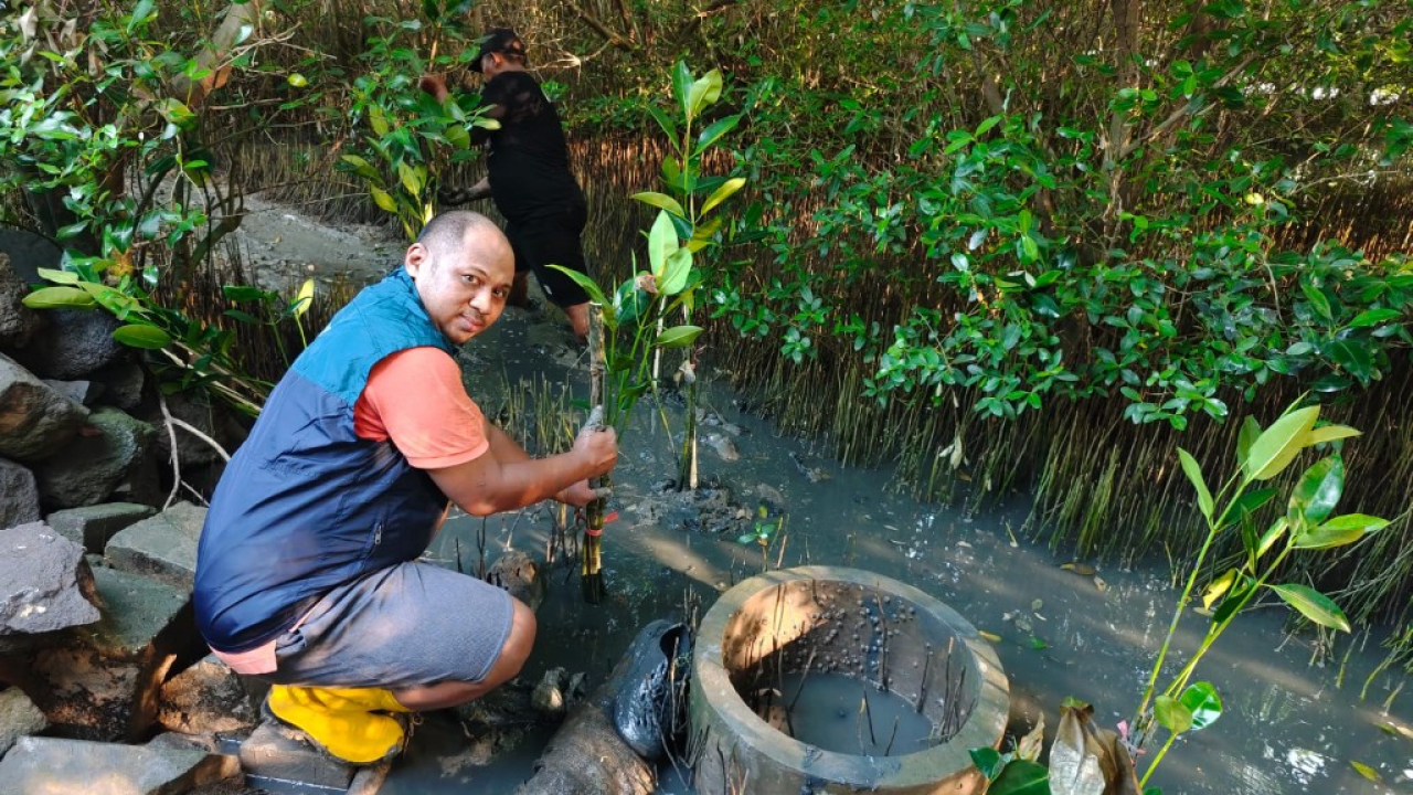 TPS Salurkan 3.000 Bibit Mangrove, Perkuat Ekosistem Pesisir Sontoh Laut Surabaya
