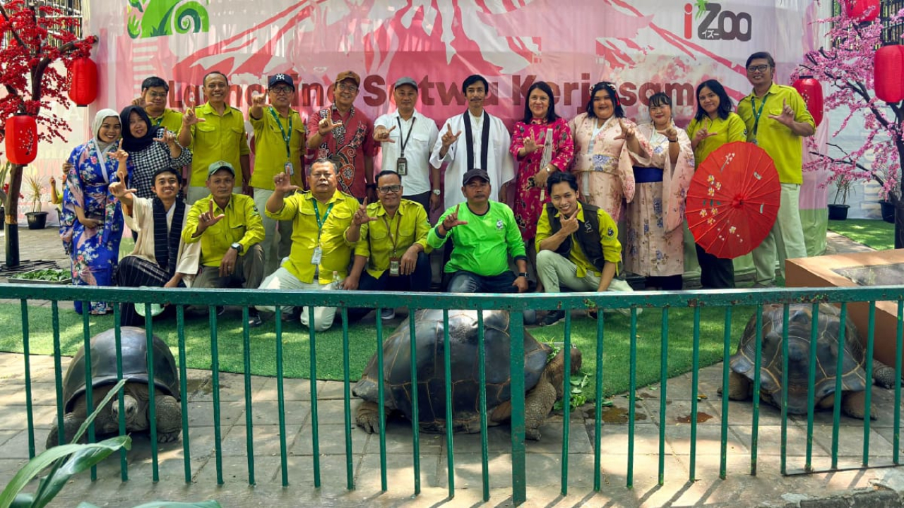 Kura-kura Aldabra koleksi baru Kebun Binatang Surabaya